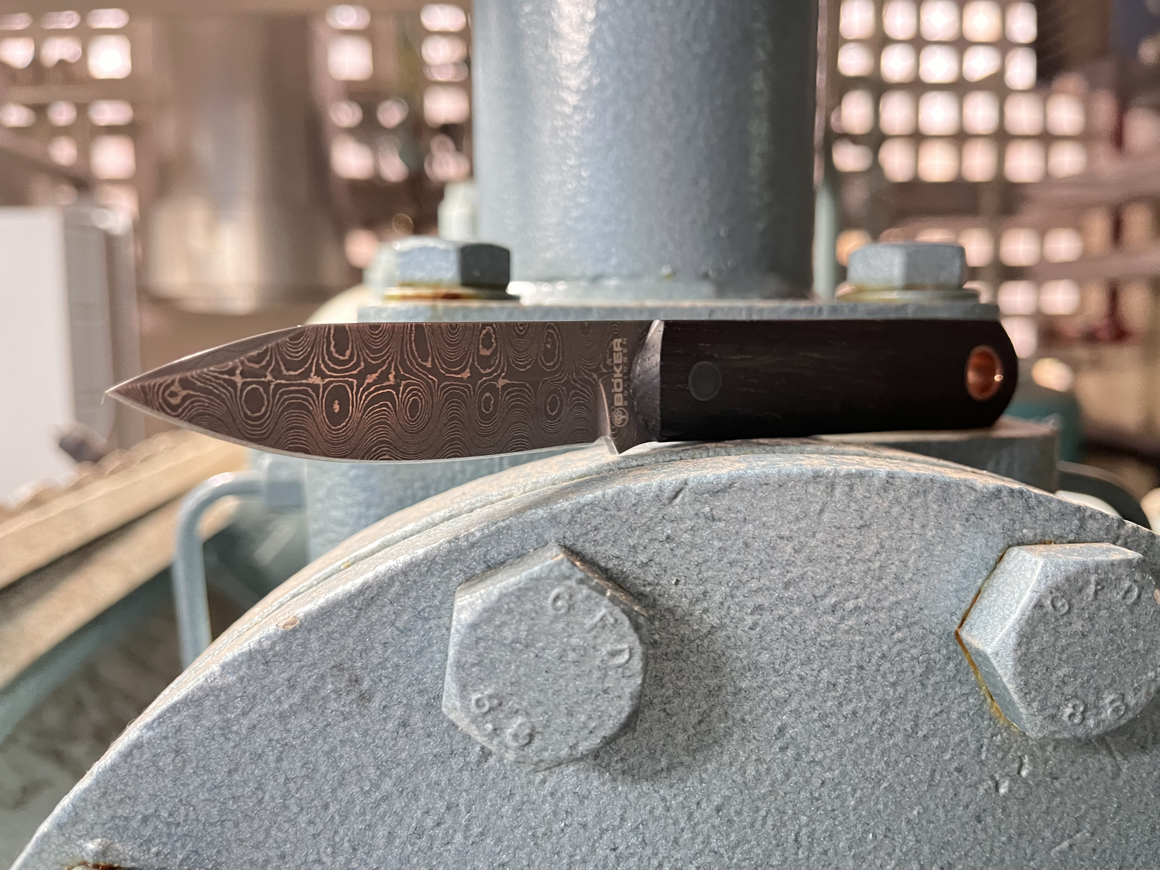 IMG-1177.jpg%22 alt=%22IMG-1177%22 border=%220%22>